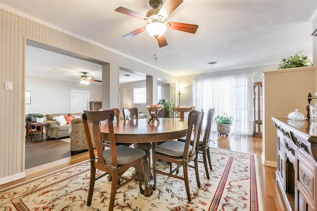 dining space with light hardwood / wood-style floors, ceiling fan, and crown molding