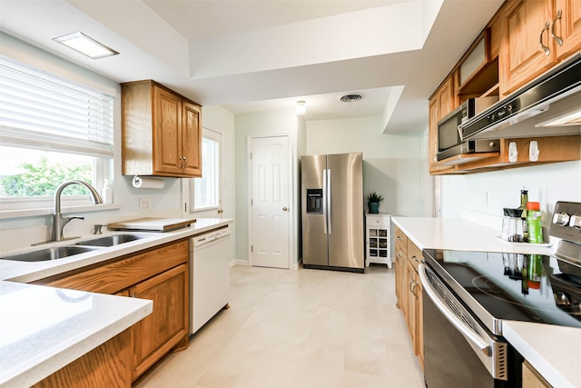 kitchen with a raised ceiling, sink, and stainless steel appliances