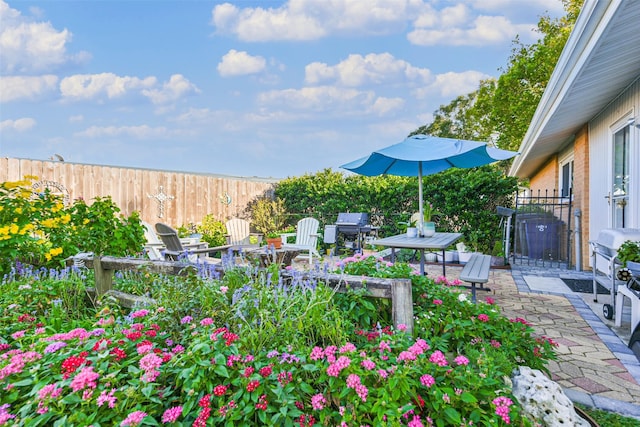 view of yard with a patio area