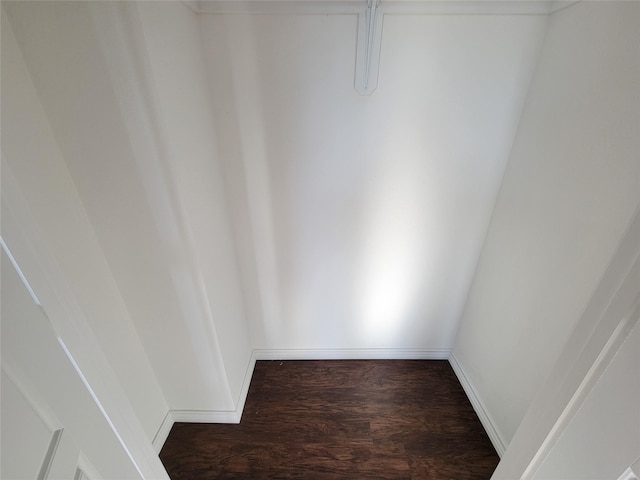 spacious closet featuring dark hardwood / wood-style flooring