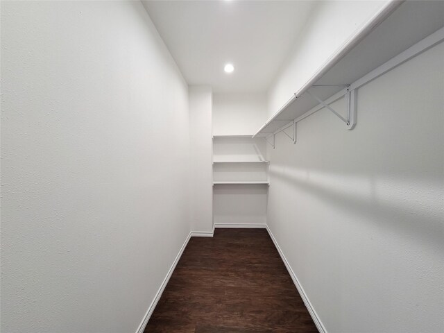 walk in closet featuring dark hardwood / wood-style floors