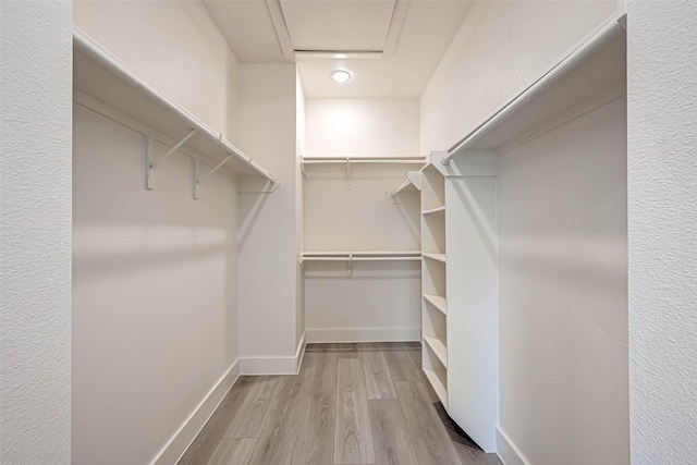 spacious closet with light hardwood / wood-style floors