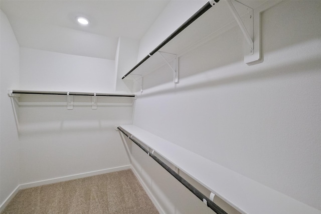 walk in closet featuring carpet flooring