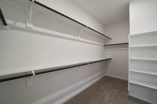 spacious closet featuring dark carpet