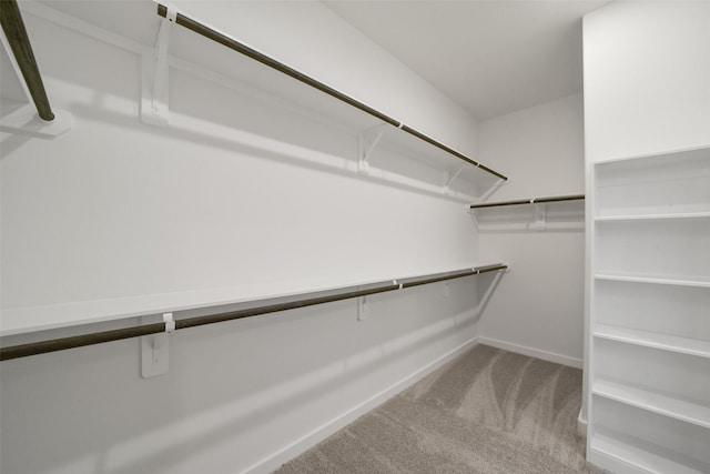 walk in closet featuring carpet flooring