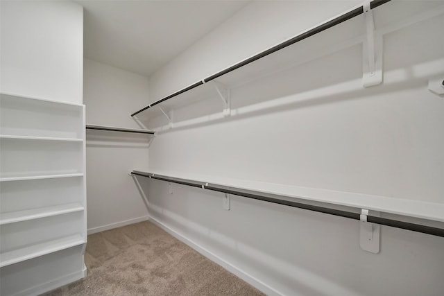 spacious closet featuring light carpet