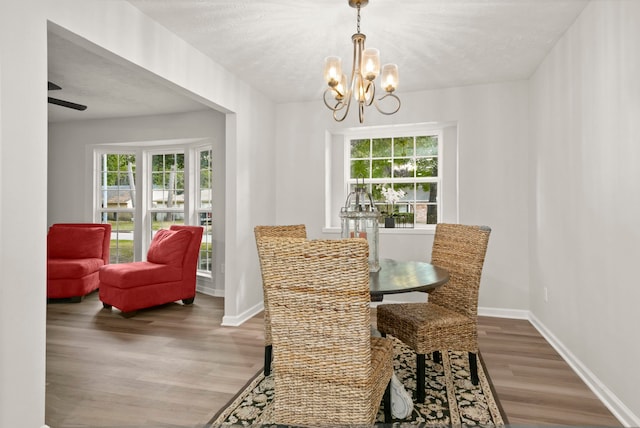 dining area featuring hardwood / wood-style floors, ceiling fan with notable chandelier, a healthy amount of sunlight, and a textured ceiling