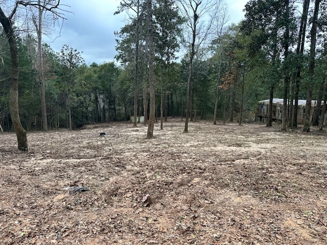 TBD E Lakeview Dr, Livingston TX, 77351 land for sale