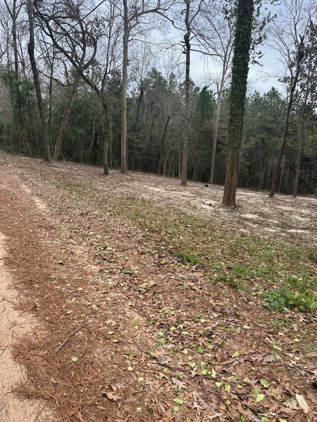 TBD E Lakeview Dr, Livingston, TX 77351