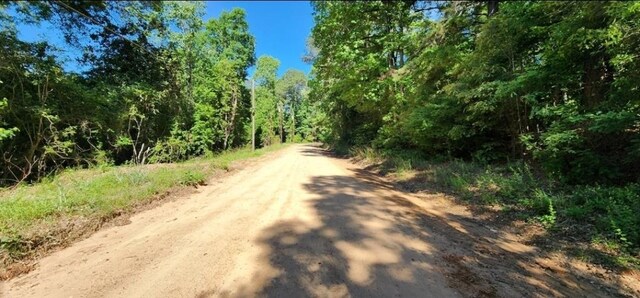 TBD E Lakeview Dr, Livingston, TX 77351