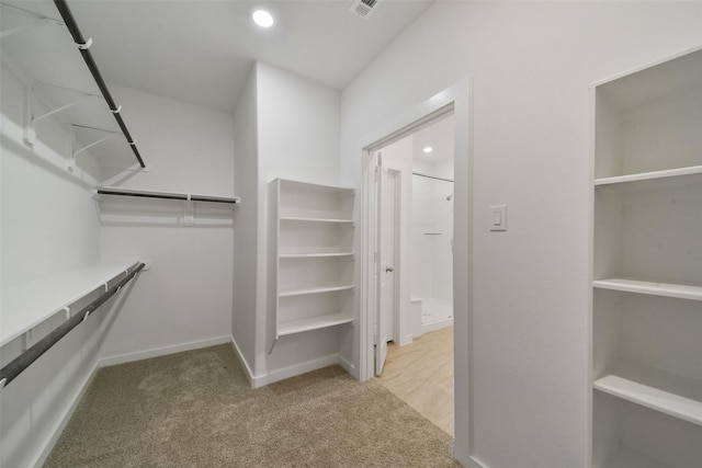 spacious closet featuring carpet