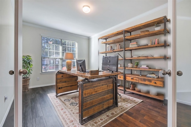 office featuring ornamental molding and dark hardwood / wood-style floors