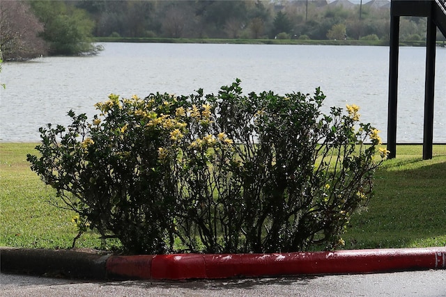 view of water feature