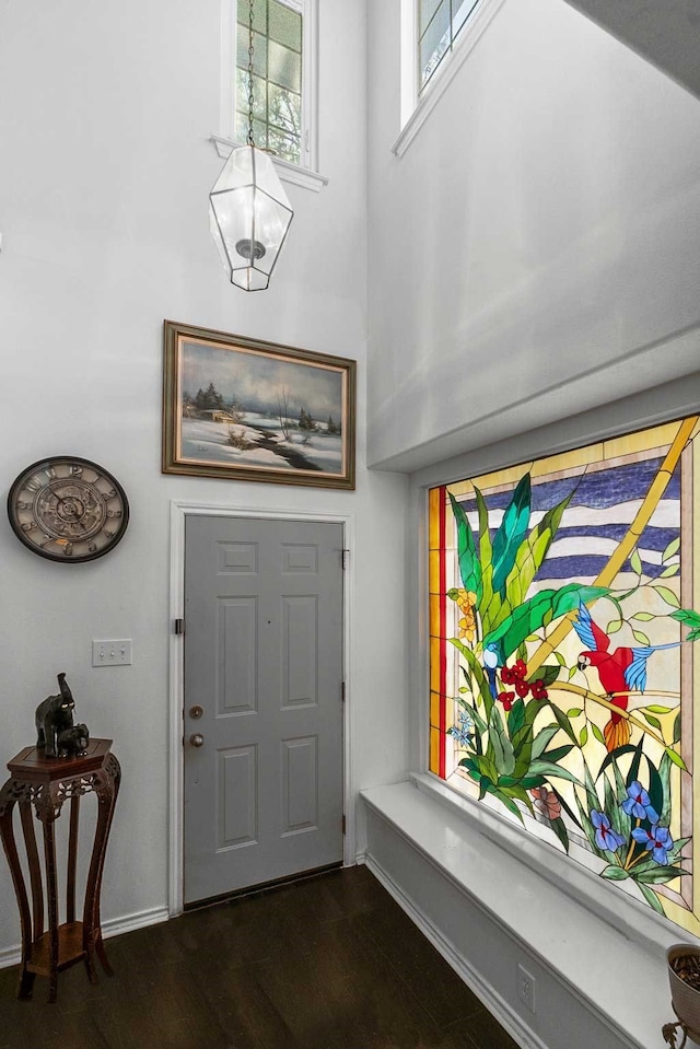 entryway featuring dark wood-type flooring