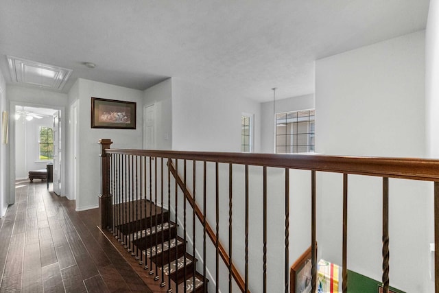 hallway featuring dark hardwood / wood-style floors