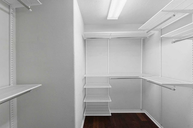 walk in closet featuring dark hardwood / wood-style floors