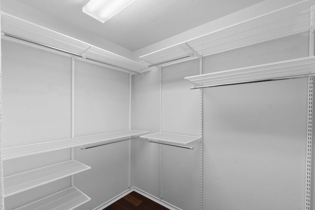 spacious closet with dark wood-type flooring