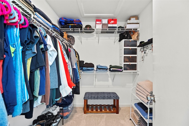 walk in closet with carpet