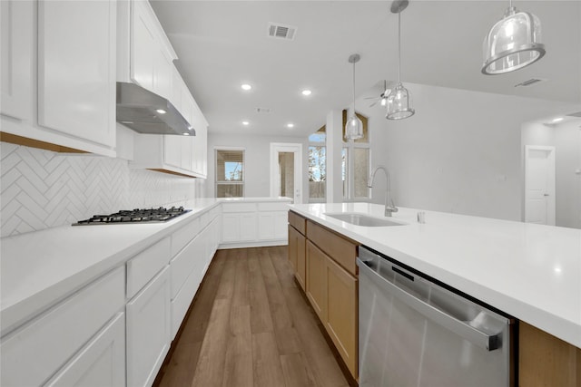 kitchen featuring sink, white cabinetry, stainless steel appliances, and exhaust hood