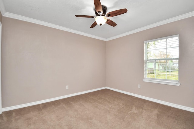 empty room featuring ceiling fan, carpet floors, and crown molding