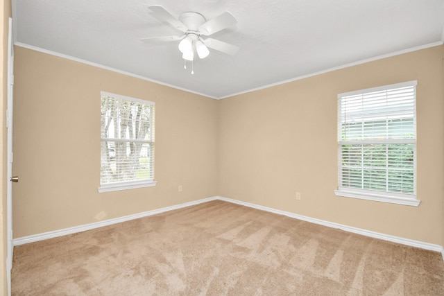 carpeted spare room featuring ceiling fan and crown molding