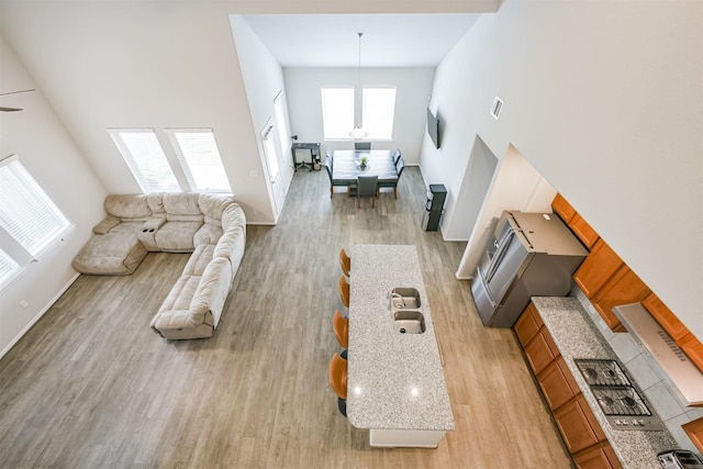 living room with a healthy amount of sunlight, a towering ceiling, and light hardwood / wood-style floors