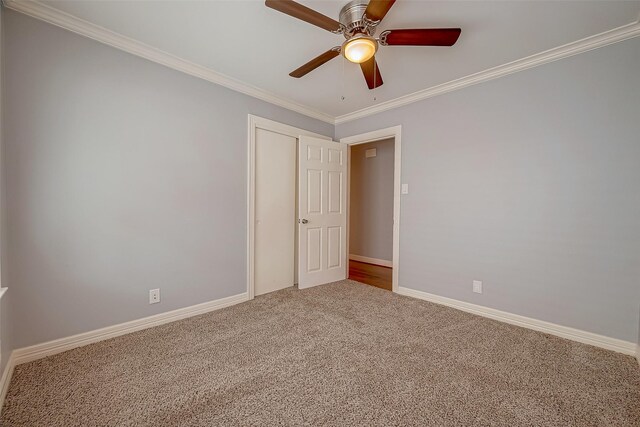 unfurnished bedroom featuring carpet flooring, ceiling fan, and ornamental molding