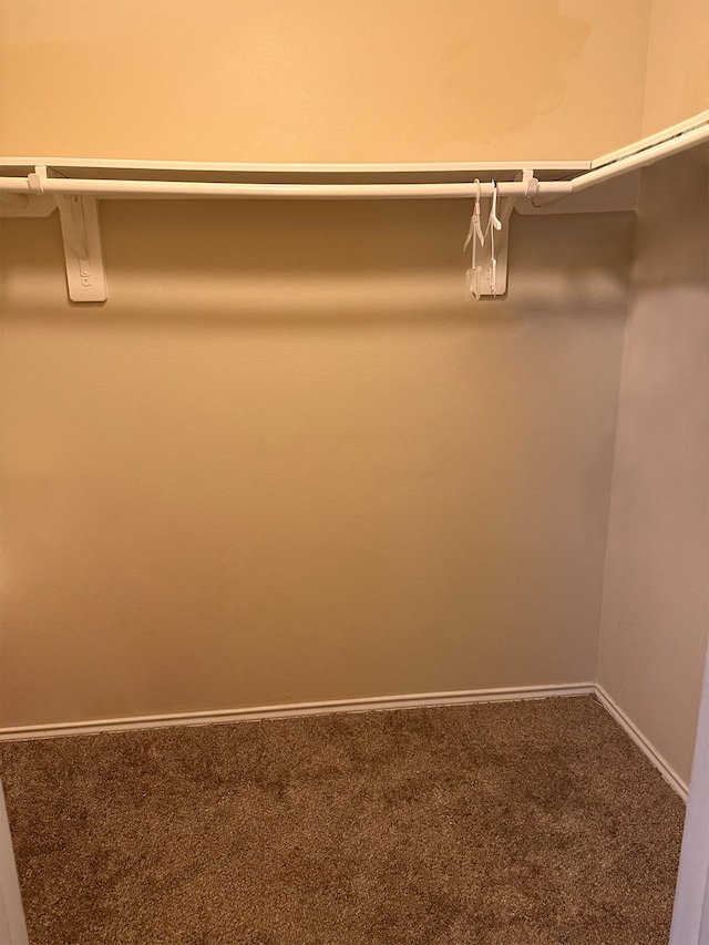 spacious closet with carpet