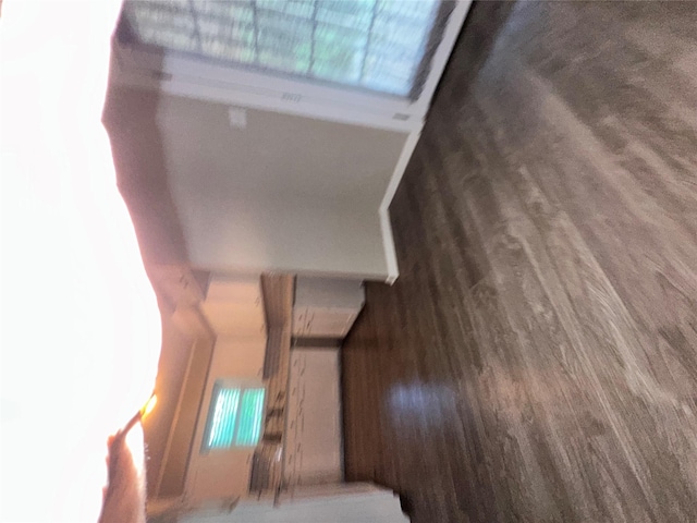 unfurnished bedroom featuring wood finished floors