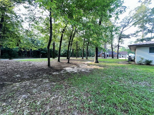 view of yard featuring central air condition unit