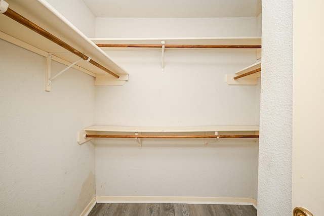 walk in closet featuring dark hardwood / wood-style flooring