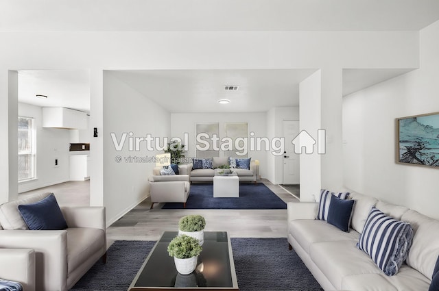 living room with wood-type flooring