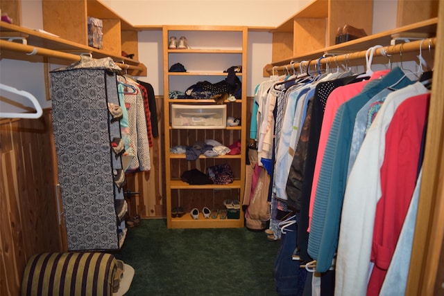 spacious closet with dark carpet