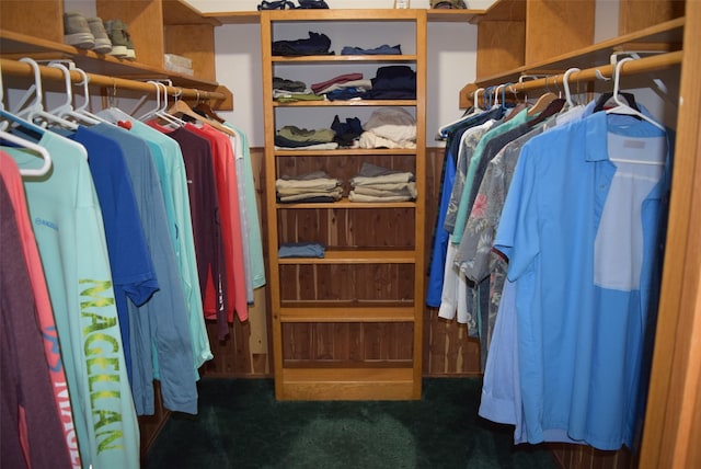 spacious closet featuring dark colored carpet