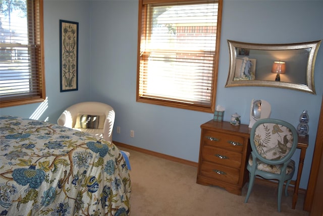 26 Westpoint Dr, Trinity, TX 75862 - bedroom featuring carpet flooring, multiple windows, and baseboards