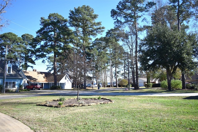 26 Westpoint Dr, Trinity, TX 75862 - view of green lawn featuring driveway