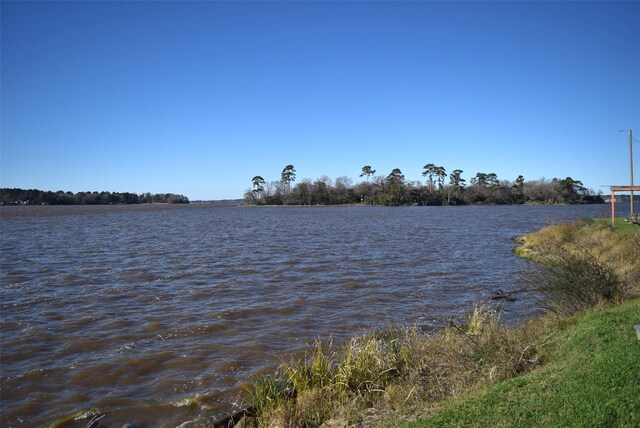 26 Westpoint Dr, Trinity, TX 75862 - water view