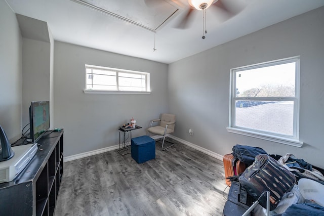 interior space with ceiling fan and hardwood / wood-style flooring