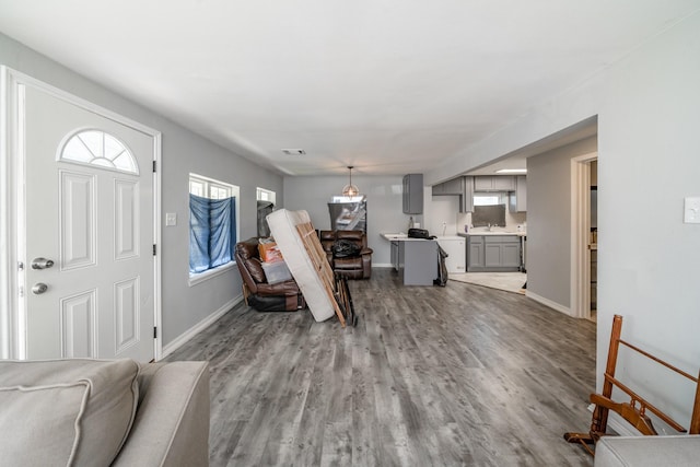 entrance foyer featuring hardwood / wood-style flooring and sink