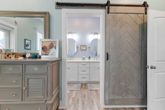 bathroom featuring hardwood / wood-style floors and vanity