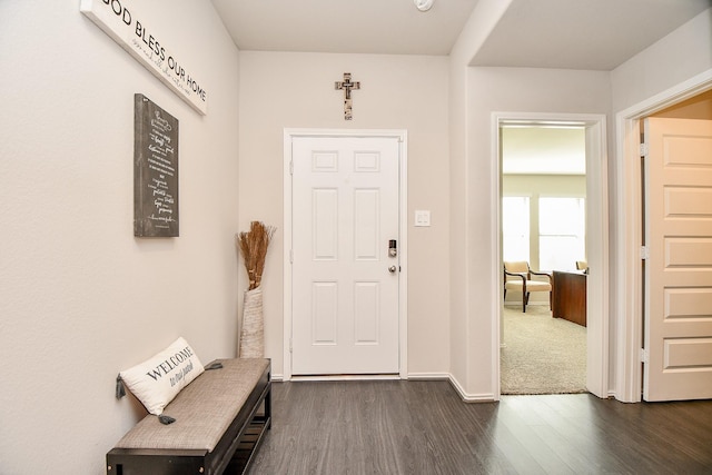 foyer with dark hardwood / wood-style floors