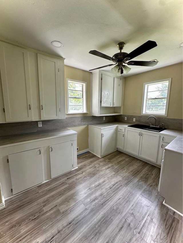 kitchen featuring a wealth of natural light, sink, white cabinets, and ceiling fan