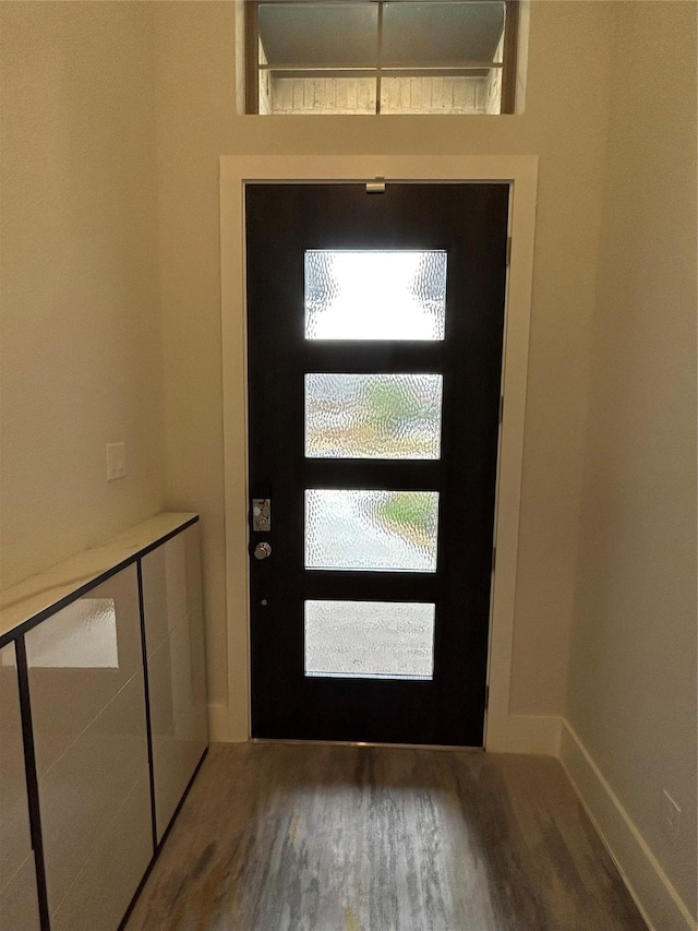 entryway featuring wood-type flooring