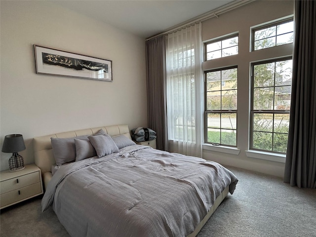 carpeted bedroom with multiple windows