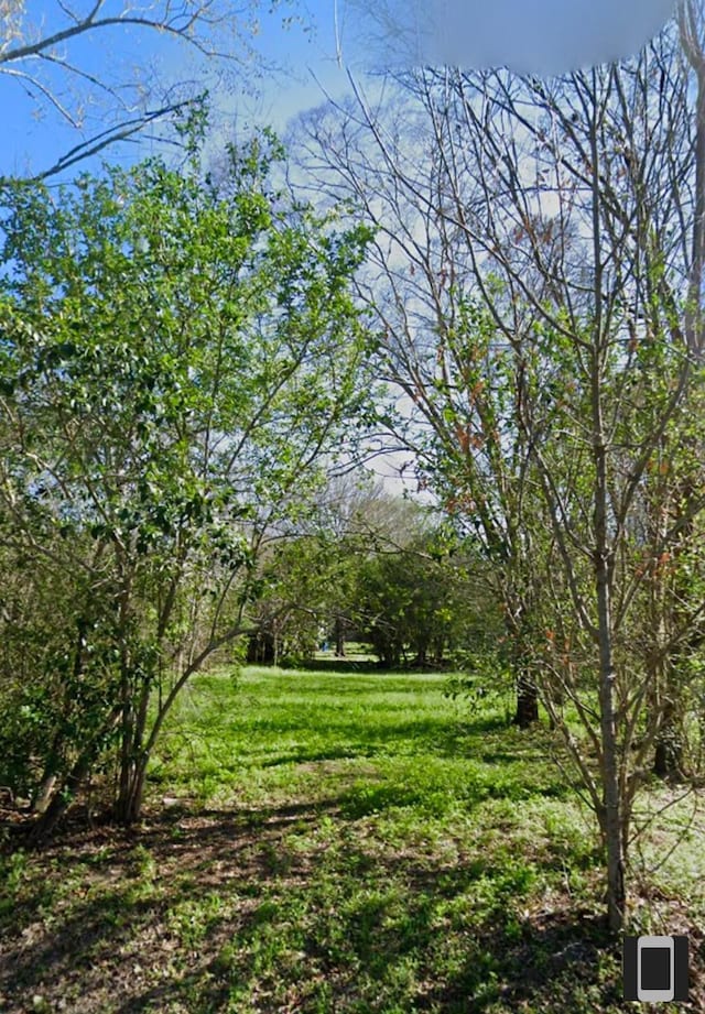1008 Lane St, Navasota, TX 77868