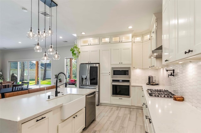 kitchen featuring a center island with sink, white cabinets, ventilation hood, sink, and stainless steel appliances