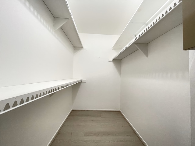 walk in closet featuring hardwood / wood-style flooring