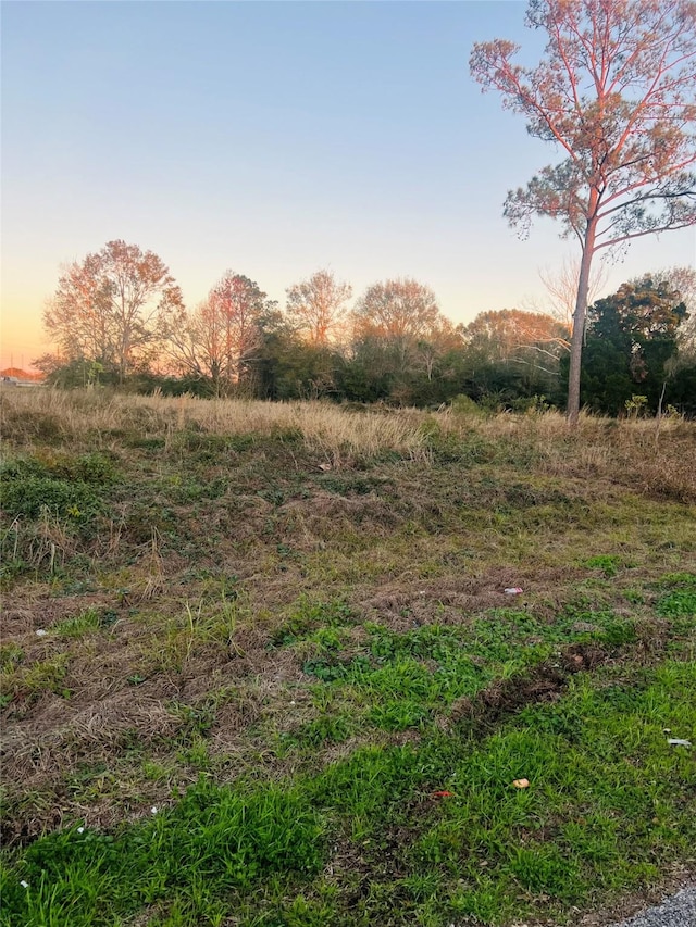 TBD Damon Dr, West Columbia TX, 77486 land for sale