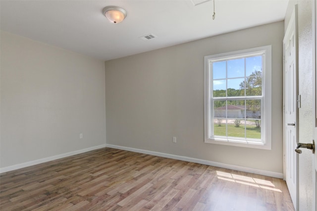 spare room featuring a wealth of natural light and wood-type flooring