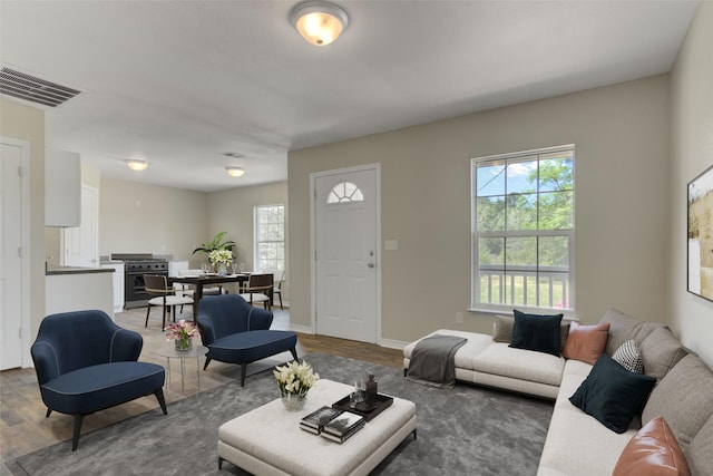 living room featuring hardwood / wood-style floors